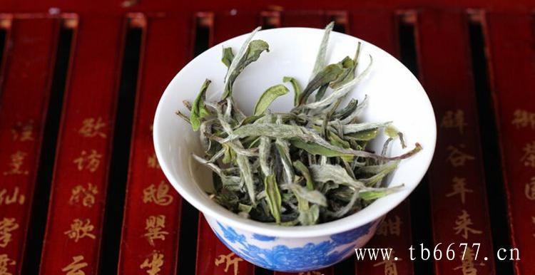 白牡丹茶历史介绍,白毫银针的保健功效,白牡丹茶历史介绍