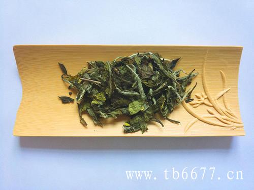 寿眉属于发酵茶