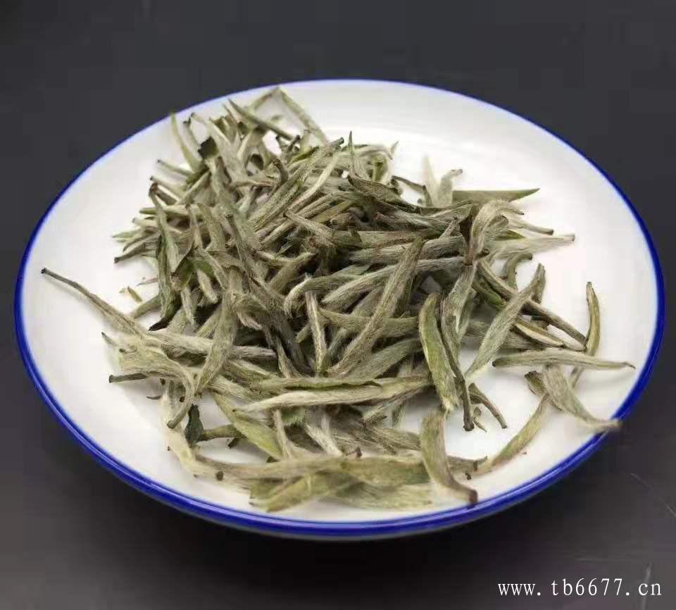 白茶和绿茶的区别