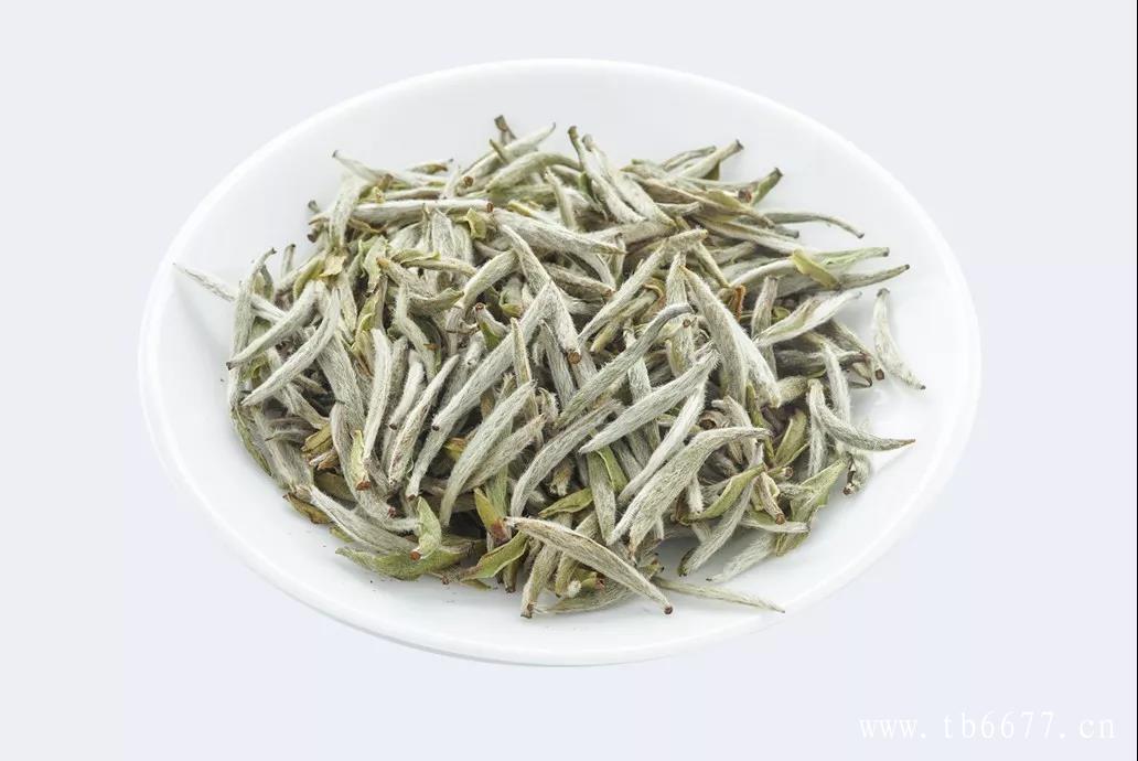 煮茶器皿的选择