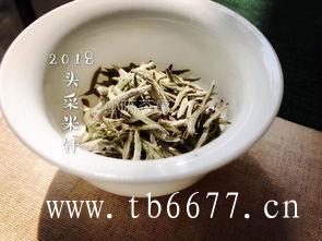 泡白茶的三个温度区间