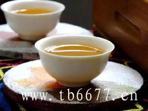 福鼎白茶产地环境