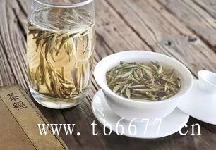 什么茶属于绿茶