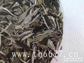 十大名茶之一--白毫银针的发展