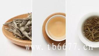 哪种壶型适合泡福鼎白茶？
