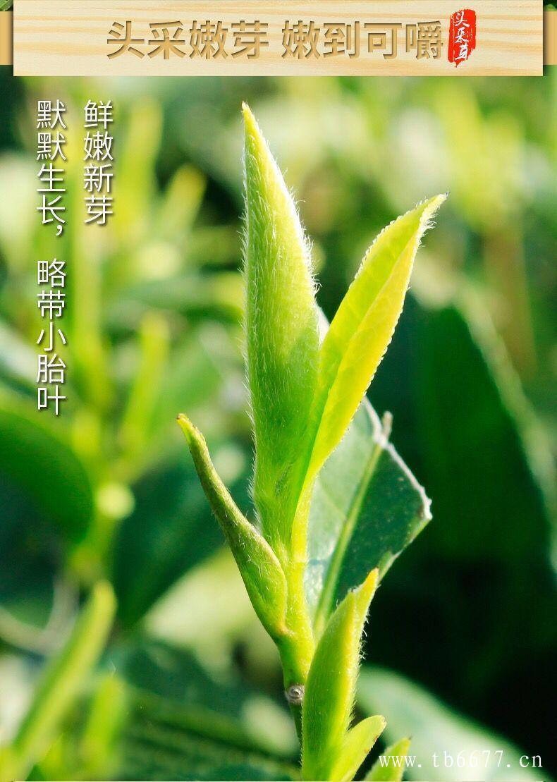 寿眉茶的口感