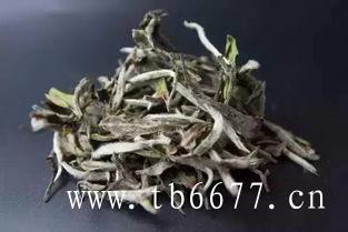 福鼎白茶怎么泡