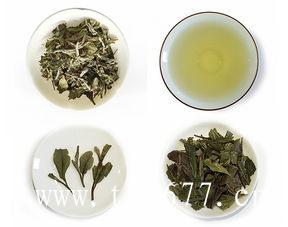 福鼎白茶的健康文化