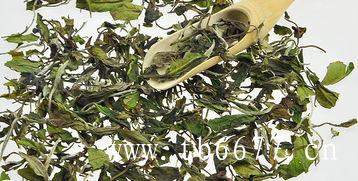 福鼎白茶怎样保存