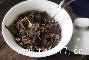 白茶的种植技术