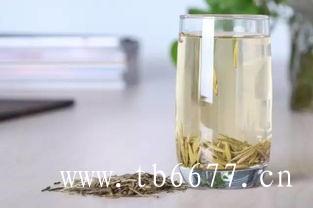 福鼎白茶白牡丹陈茶价格