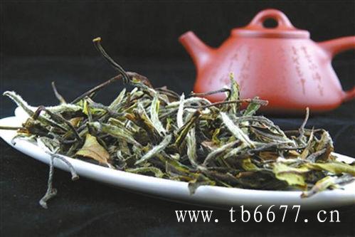 白牡丹茶的产地,煮老白茶最适宜搭配陈皮,白牡丹茶的产地