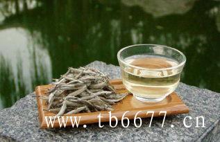 白茶具有收藏价值的条件