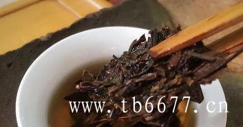 福鼎特级白牡丹王春茶茶叶