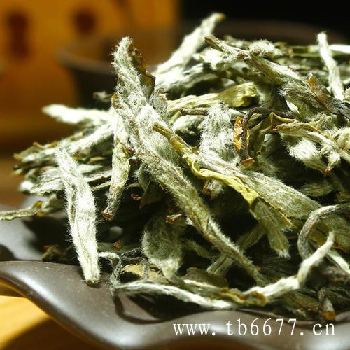 白牡丹茶历史介绍,白毫银针的的种类,白牡丹茶历史介绍