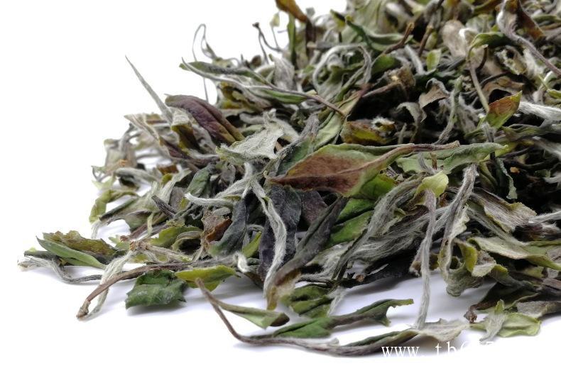 什么样的白茶容易有药香？