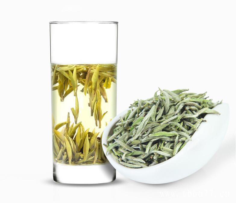 福鼎白茶怎么喝