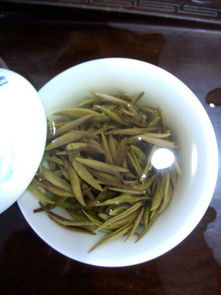 白茶的品种