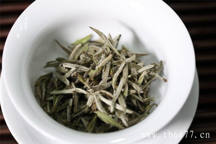 白牡丹茶的保质期,白茶怎么泡了喝？,白牡丹茶的保质期