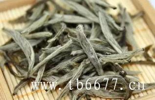 
云南白茶的工艺与品种