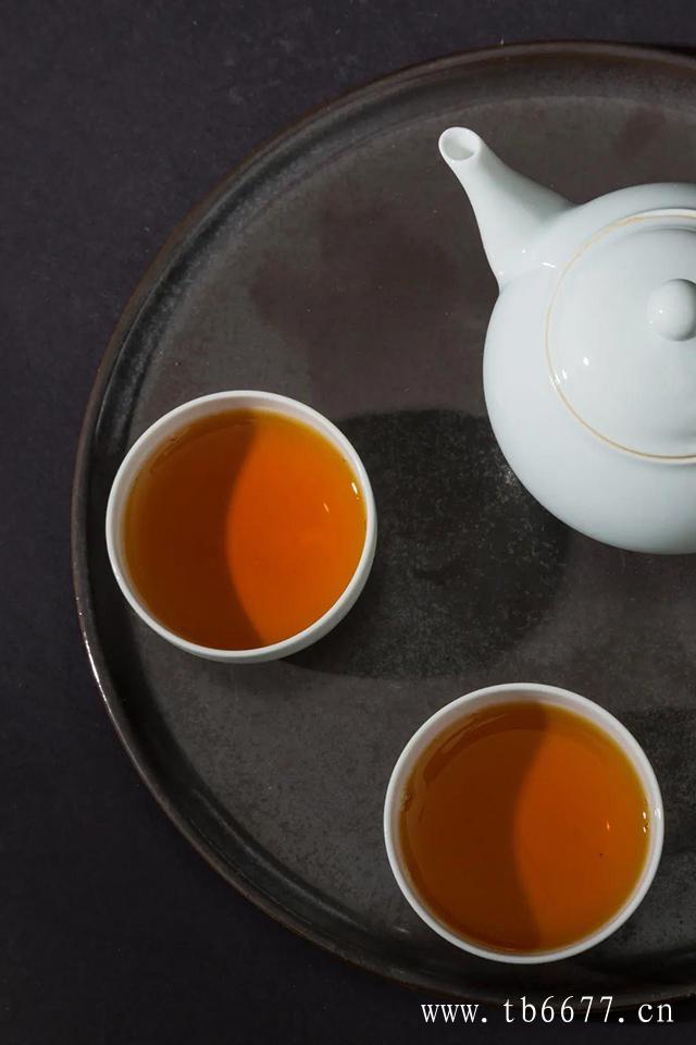 紫砂壶泡白茶一壶侍一茶