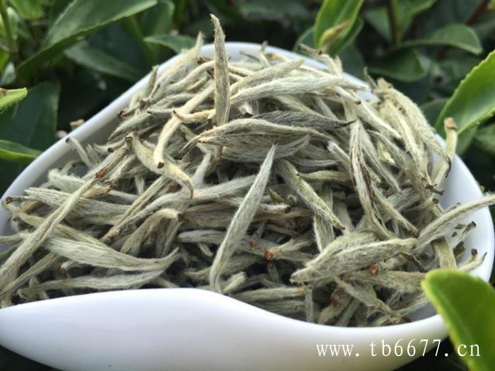 白牡丹茶的主要功效,紫砂壶泡白茶一壶侍一茶,白牡丹茶的主要功效
