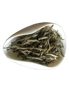 白茶的品种主要按采制方式来分类
