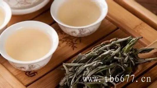 寿眉白茶独特的品种