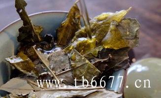 白牡丹茶属于发酵茶,白毫银针品牌不同价格不同,白牡丹茶属于发酵茶