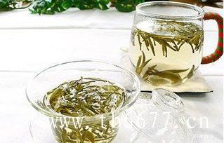 哪些因素影响了白茶成分？