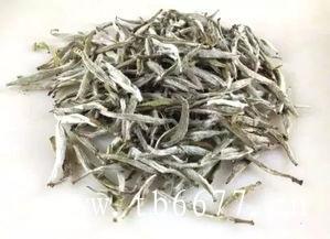 福鼎白茶茶饼的价格多少