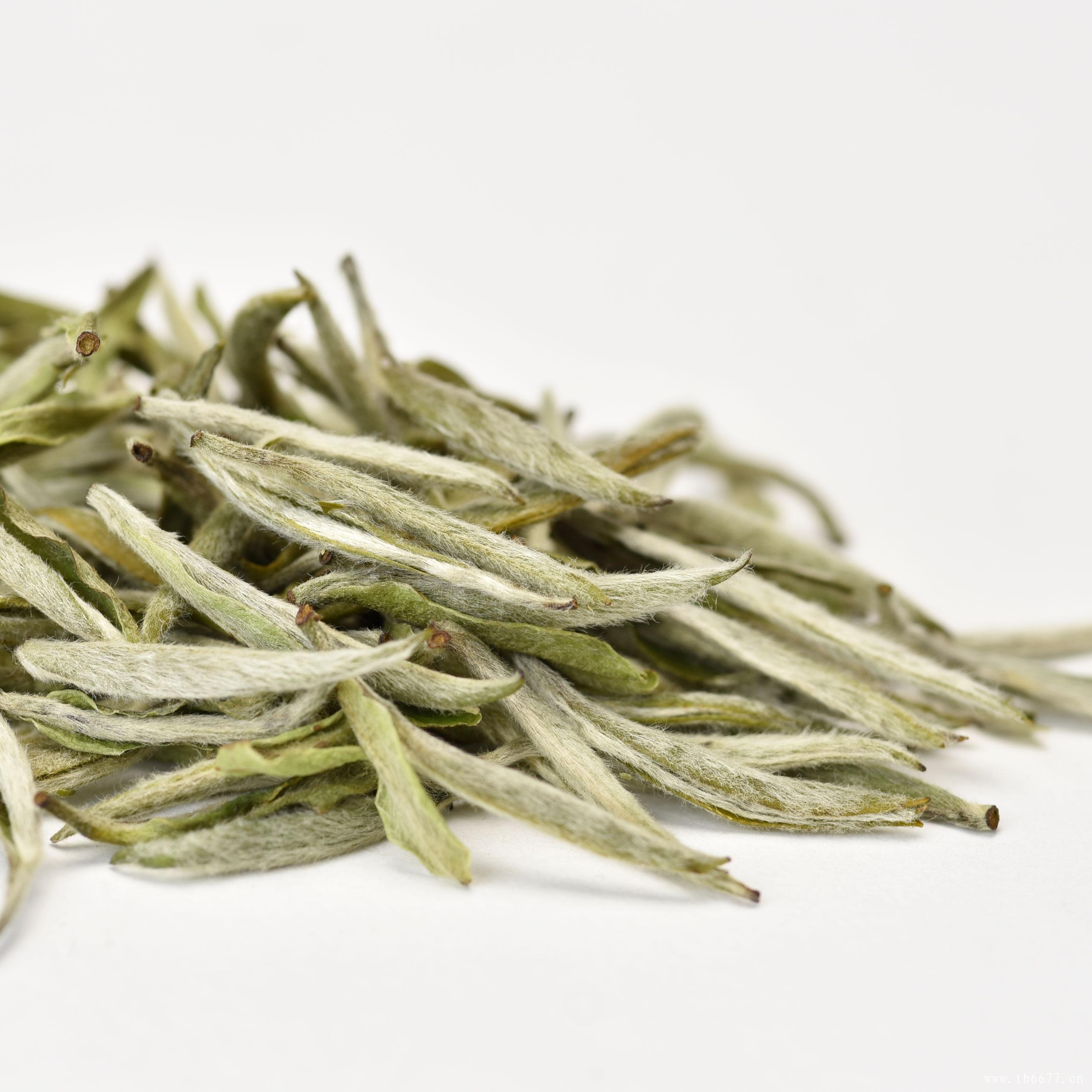 白牡丹茶的功效,喝白茶能帮助减肥,白牡丹茶的功效