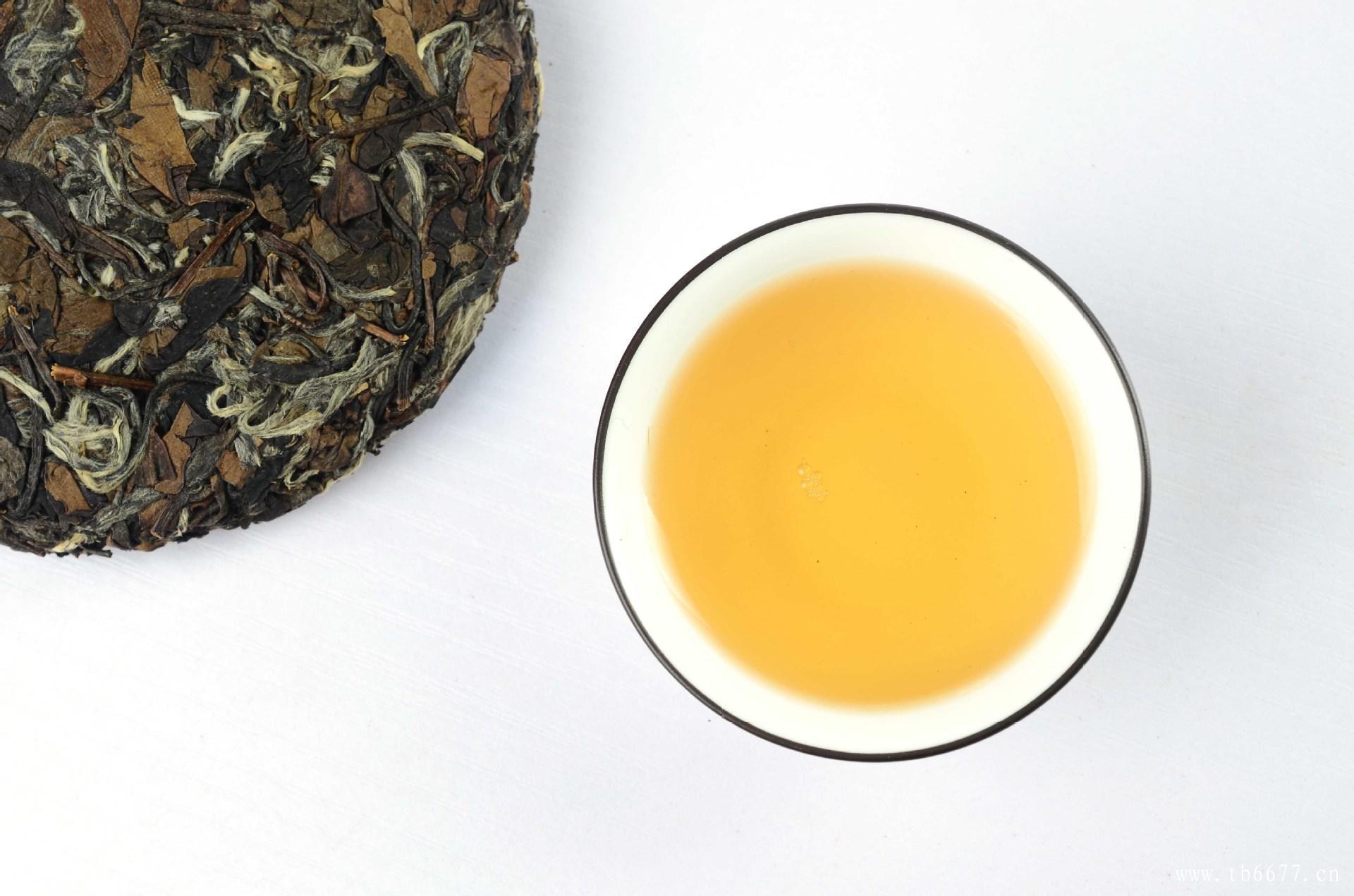 福鼎老白茶的保存价值