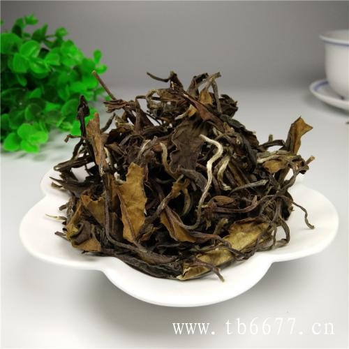 白牡丹茶属于发酵茶,冲泡白毫银针注意事项,白牡丹茶属于发酵茶