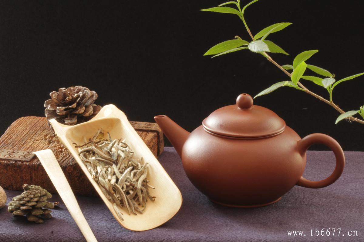 白茶用紫砂壶冲泡的优势