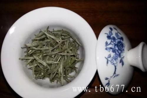 白茶春茶好在哪里？