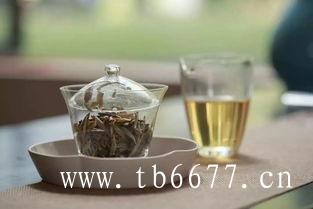 泡白茶时需要放多少茶叶？