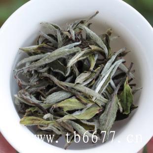 白牡丹茶价格多少,白茶一般的茶保质期为两年,白牡丹茶价格多少