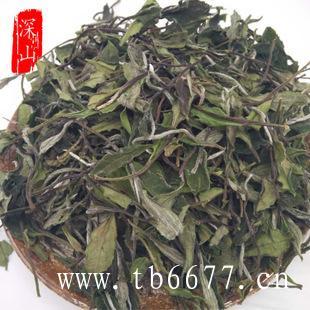 福鼎白茶新茶泡茶方式