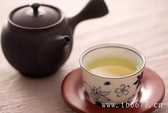 福鼎白茶属于发酵茶