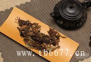 冬天喝白茶的好处