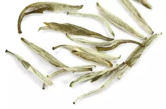 白茶都有啥成分呢
