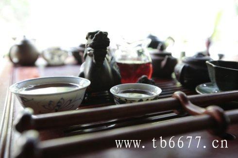 药香白茶怎么来的