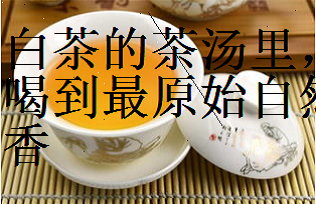 低价寿眉饼捆绑焖茶壶出售
