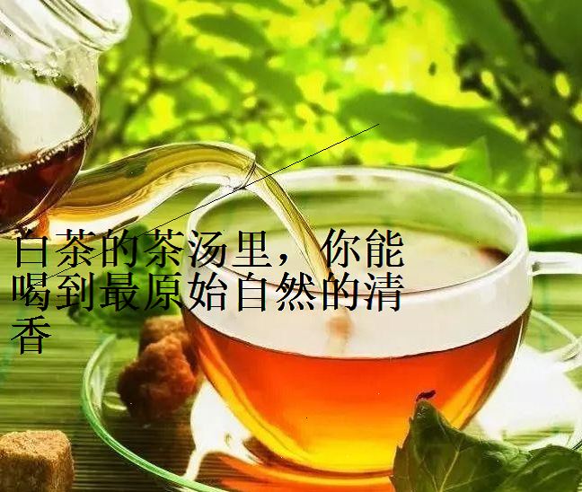 白茶的茶汤里喝到最原始自然的清香