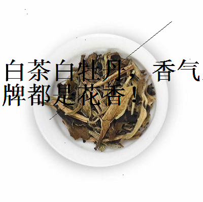 白牡丹茶有哪些特点