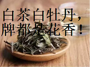 白茶白牡丹，香气王牌都是花香！