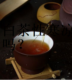 白茶的制作工艺