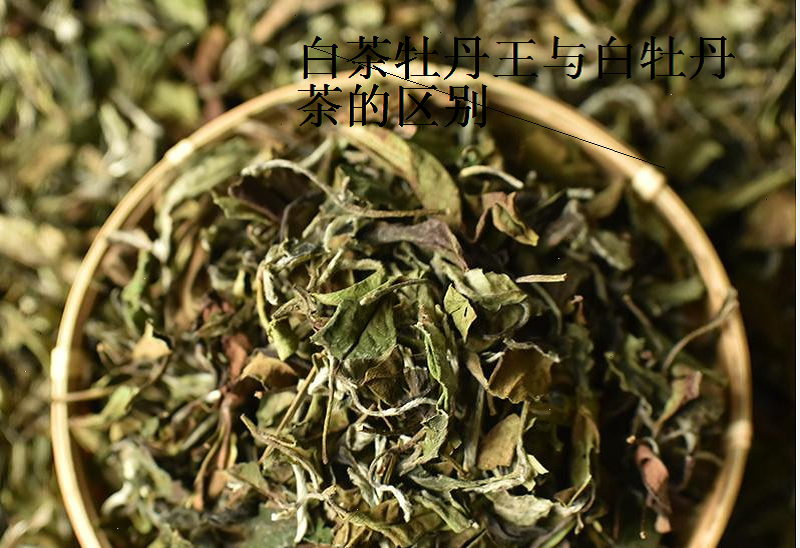 保存白牡丹茶应该注意什么