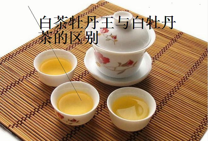 白茶牡丹王与白牡丹茶的区别